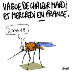 Capture d'écran 2025 06 11 145334