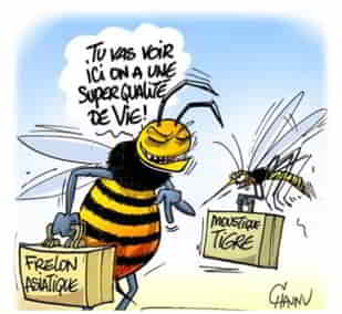 Capture d'écran 2025 08 11 151531