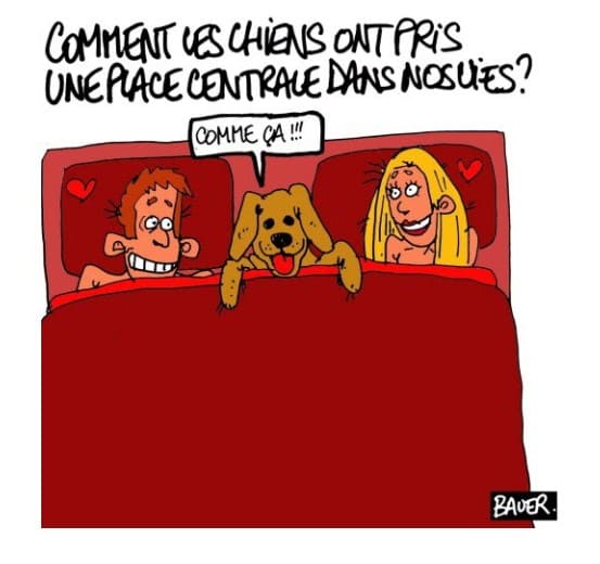 Capture d'écran 2024 12 22 083706