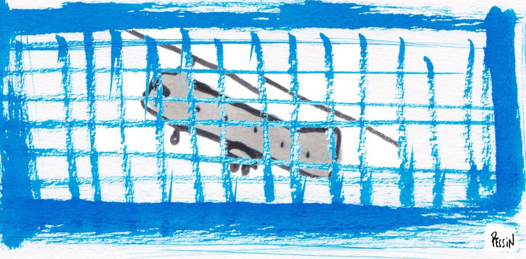 les femmes et les enfants dabords